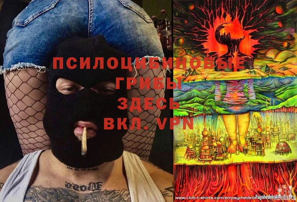 тгк Богданович