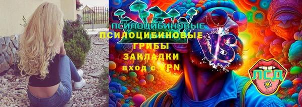 тгк Богданович