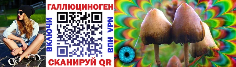 Галлюциногенные грибы Psilocybe  Купить  Моздок 