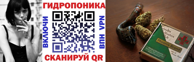 Купить закладки  Моздок  Марихуана ГИДРОПОН 